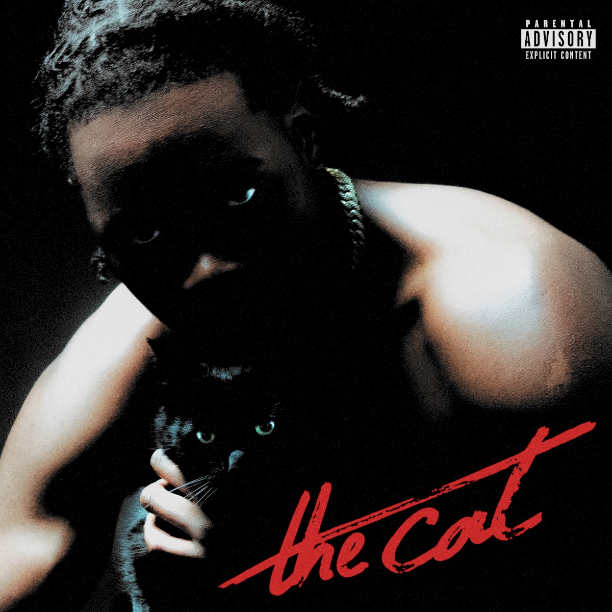 The cat